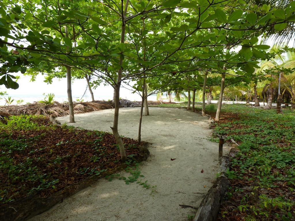 מלון סנטה מרתה Playa Koralia מראה חיצוני תמונה